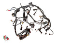 Complete Wiring Harness - Ducati