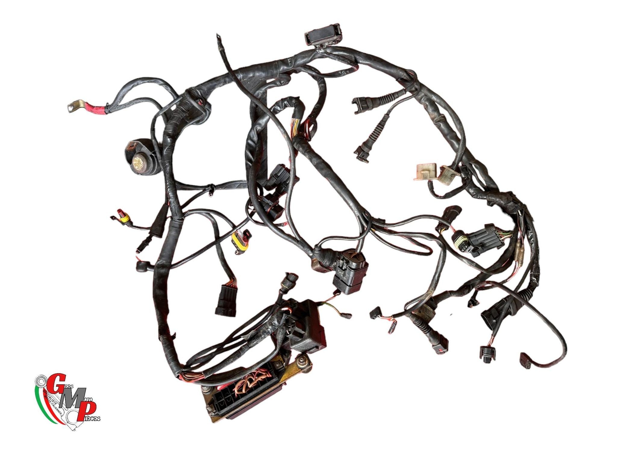 Complete Wiring Harness - Ducati
