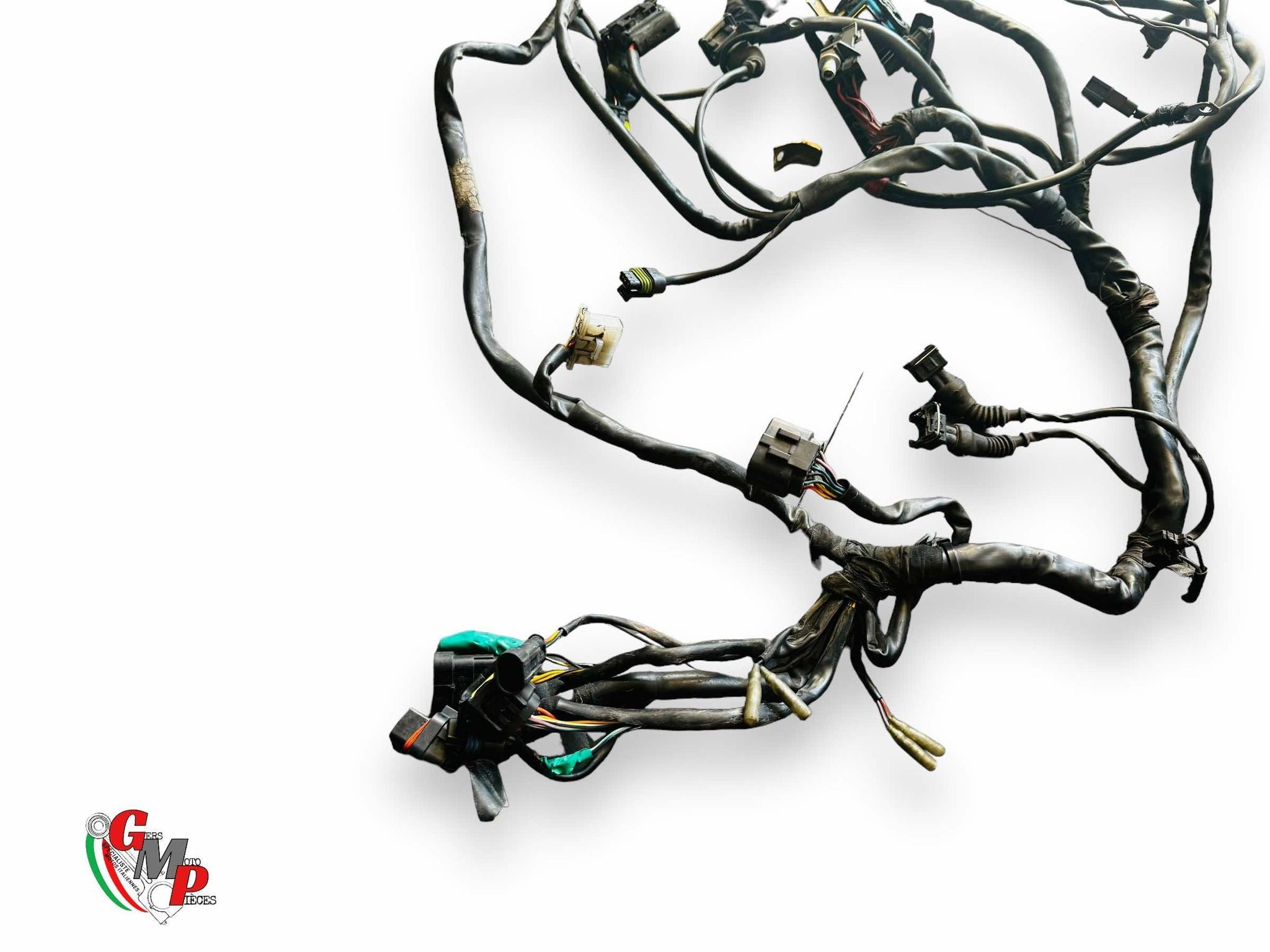 Electrical Harness - Ducati