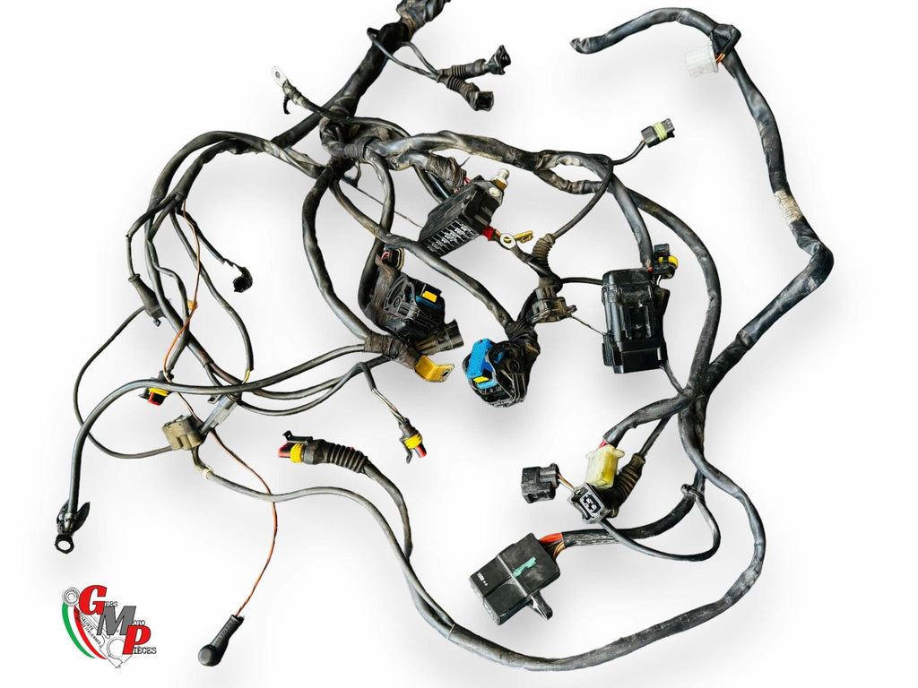 Electrical Harness - Ducati