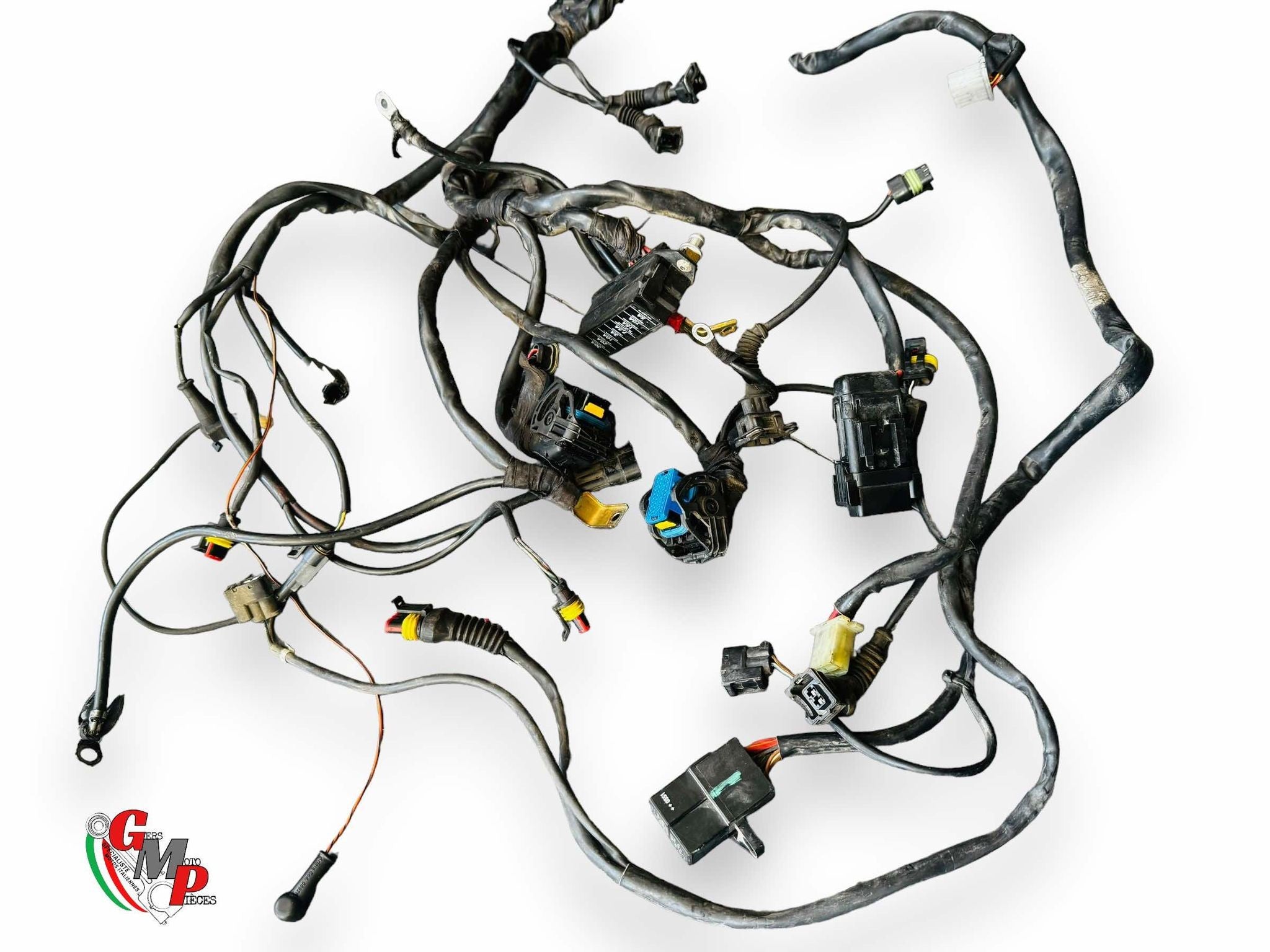 Electrical Harness - Ducati