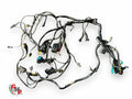 Electrical Harness - Ducati