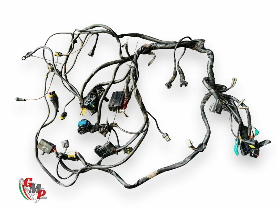 Electrical Harness - Ducati