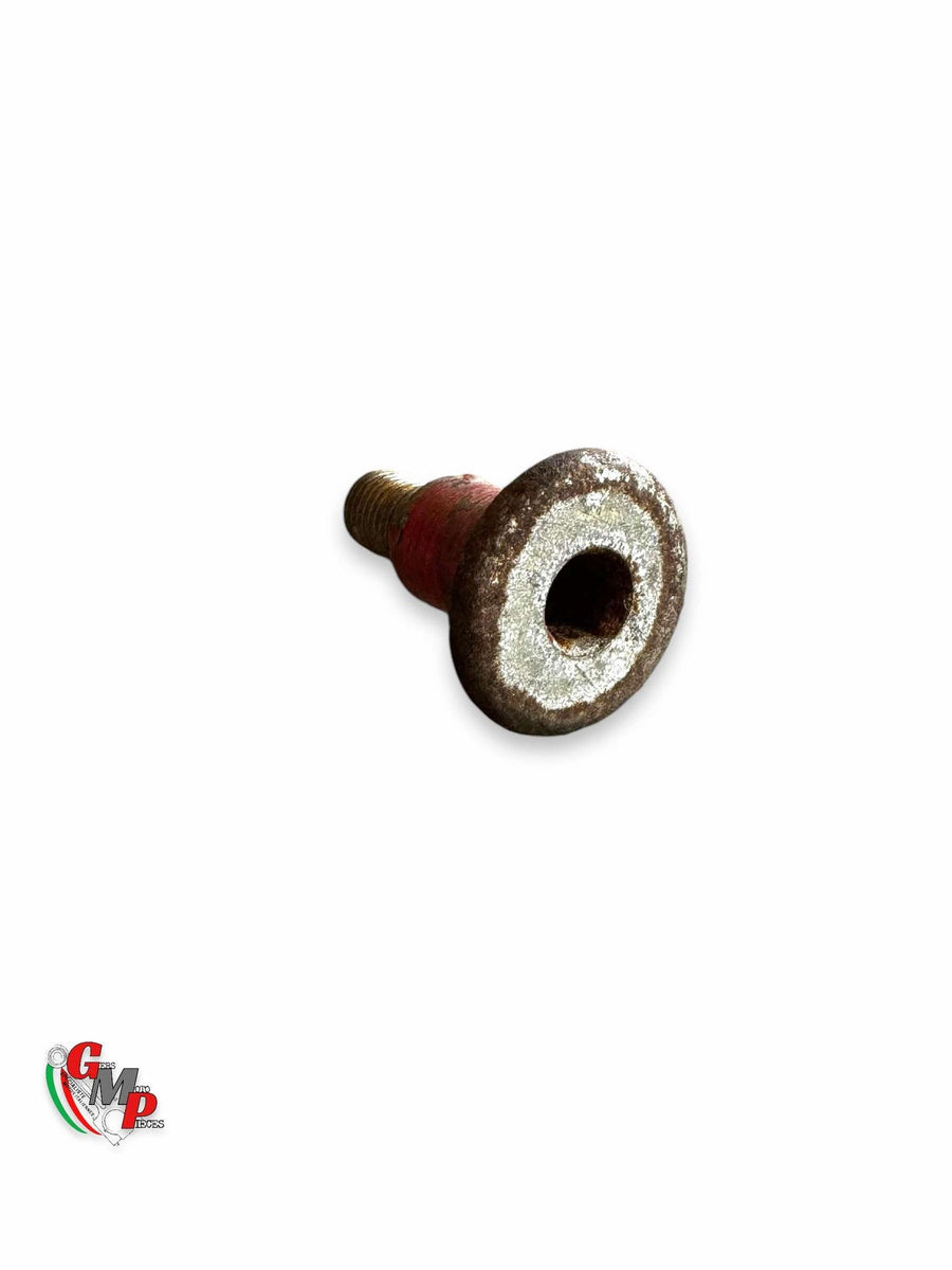 Selector Pivot Screw - Ducati
