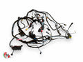 Electrical harness - Ducati