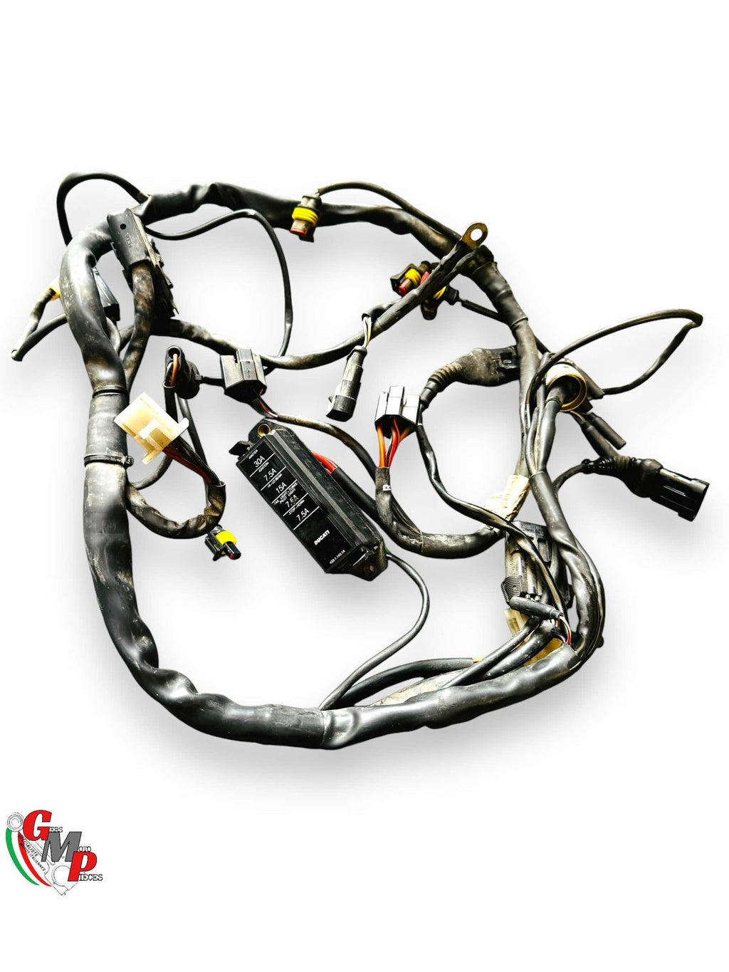 Wiring Harness - Ducati