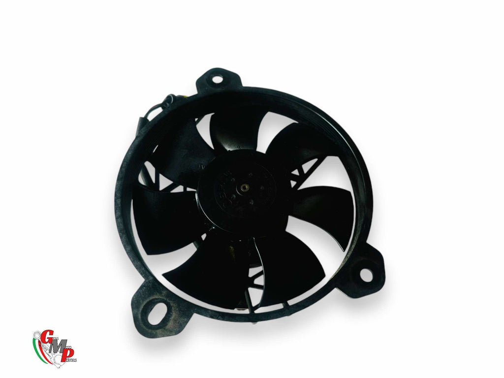 Left Fan - Ducati