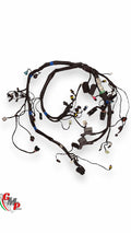 Main Wiring Harness - Ducati