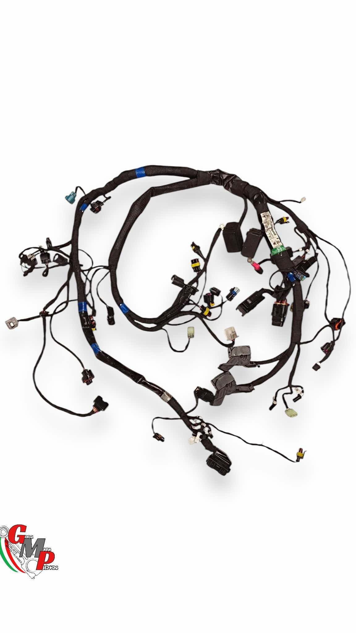 Main Wiring Harness - Ducati
