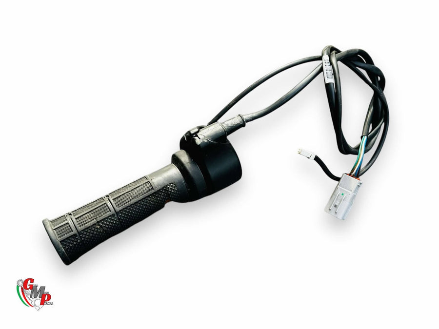 Electronic Throttle Grip and Heated Grip Ride by Wire - Ducati
