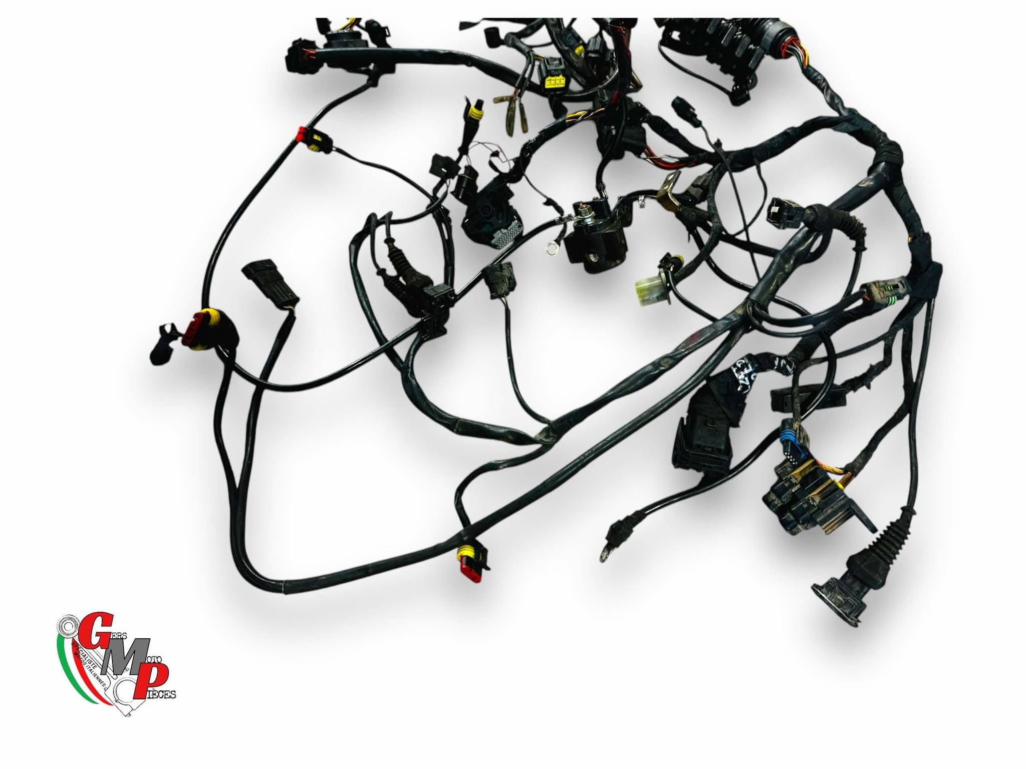 Main Wiring Harness - Ducati