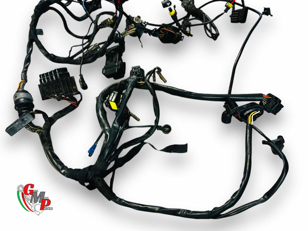 Main Wiring Harness - Ducati