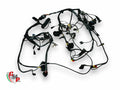 Main Wiring Harness - Ducati