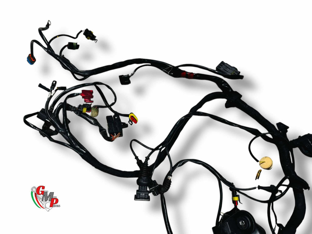 Electrical Harness - Ducati