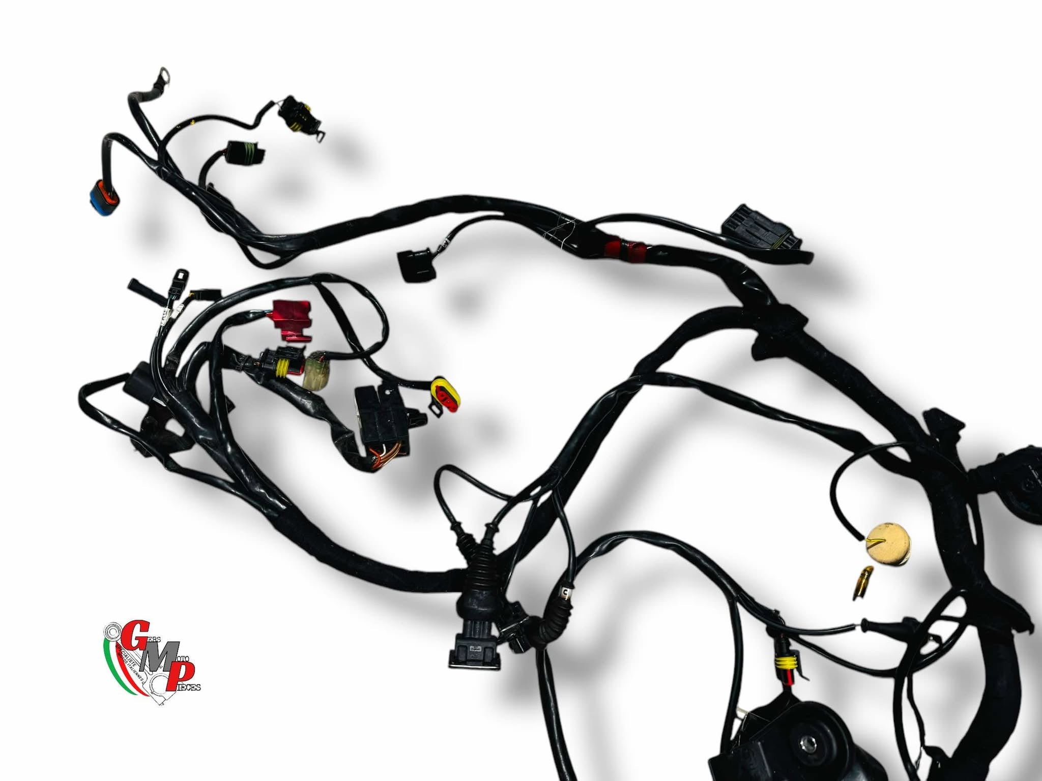 Electrical Harness - Ducati
