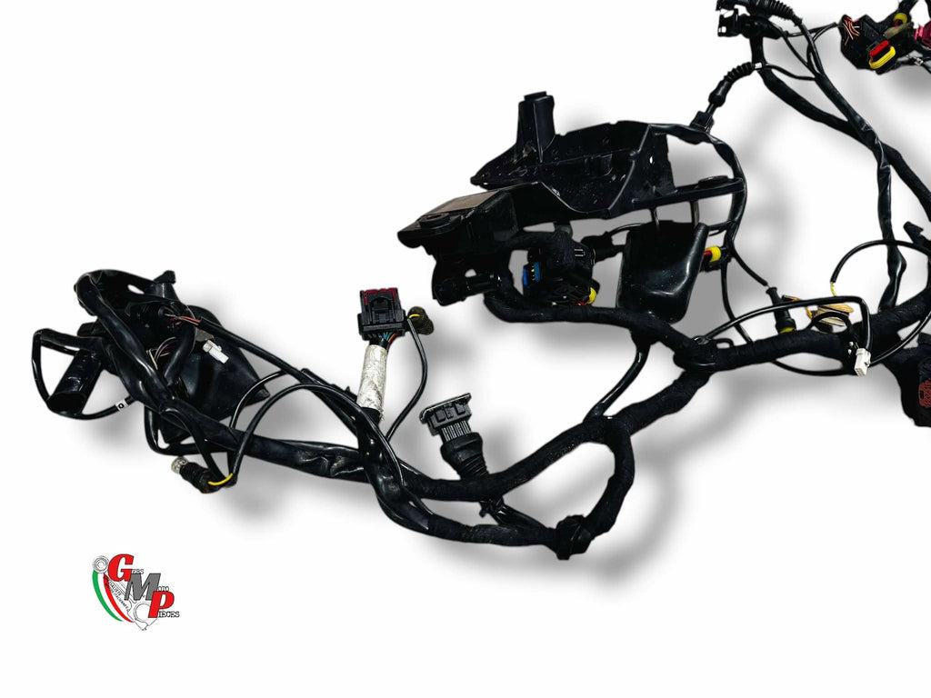 Electrical Harness - Ducati