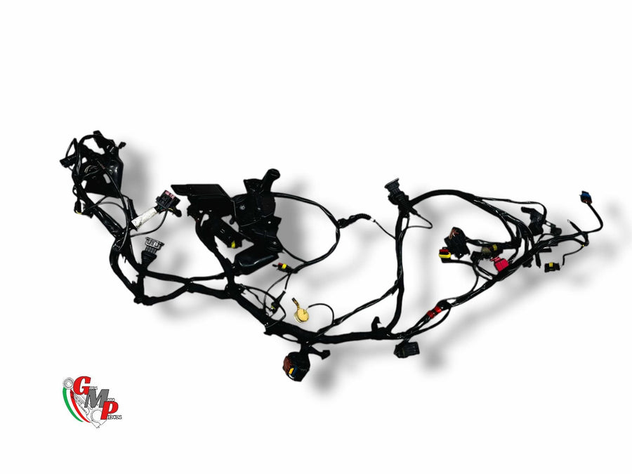 Electrical Harness - Ducati