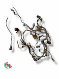 Electrical harness - Ducati