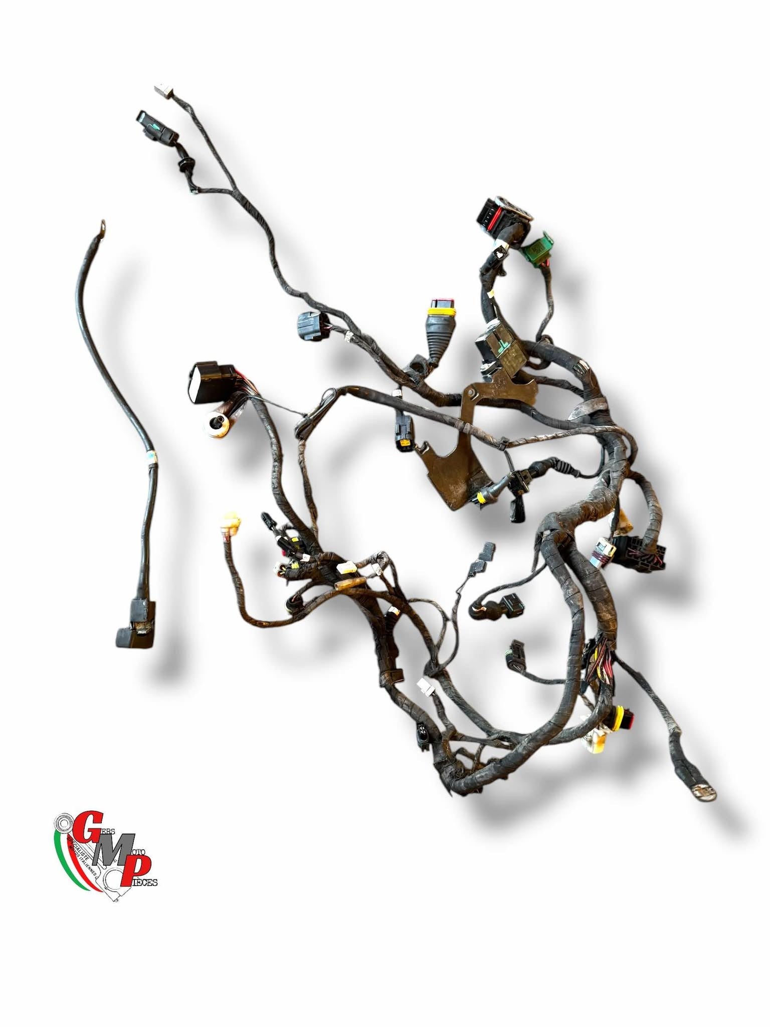 Electrical harness - Ducati