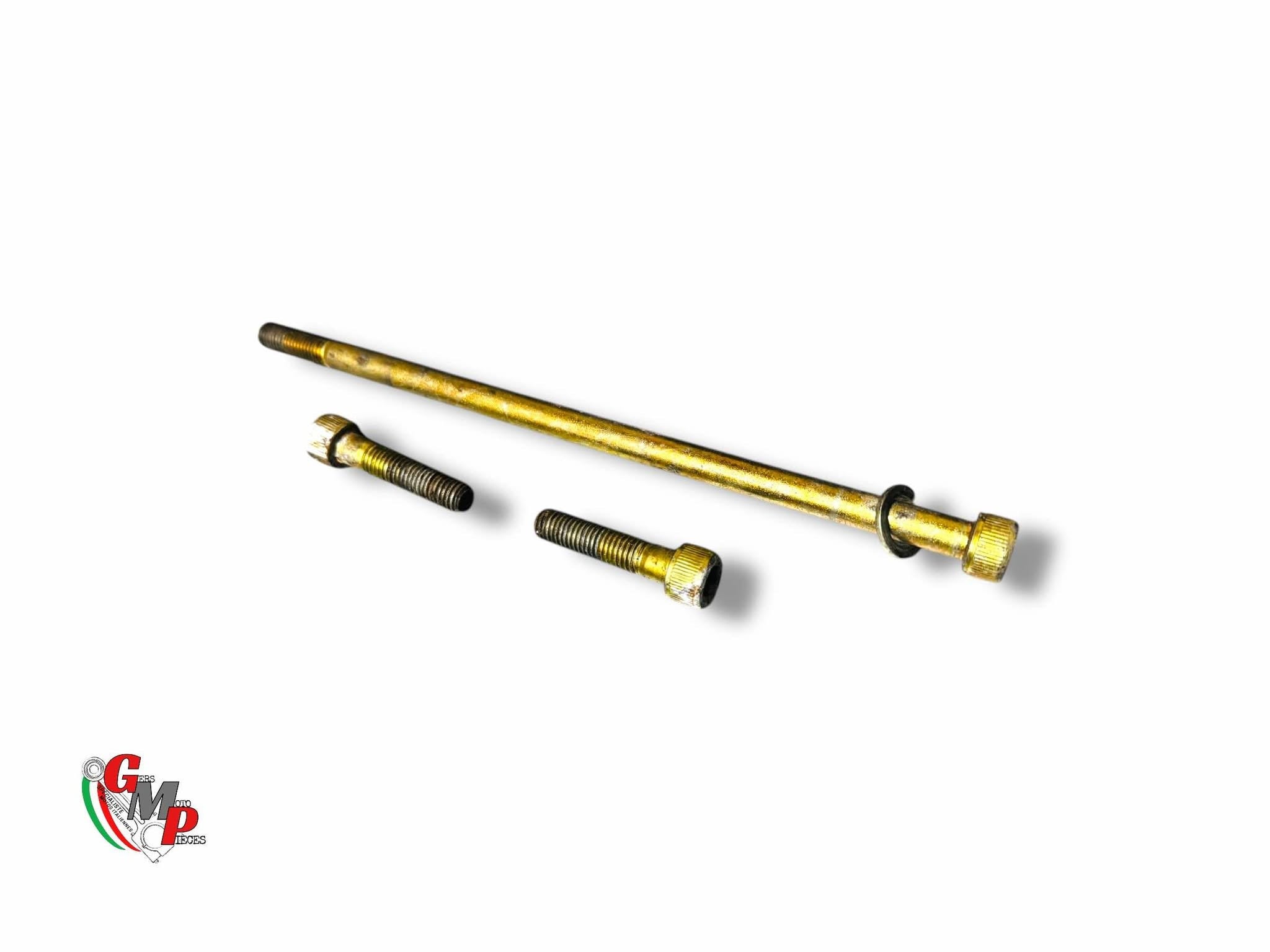 Engine Axle Assembly - Ducati