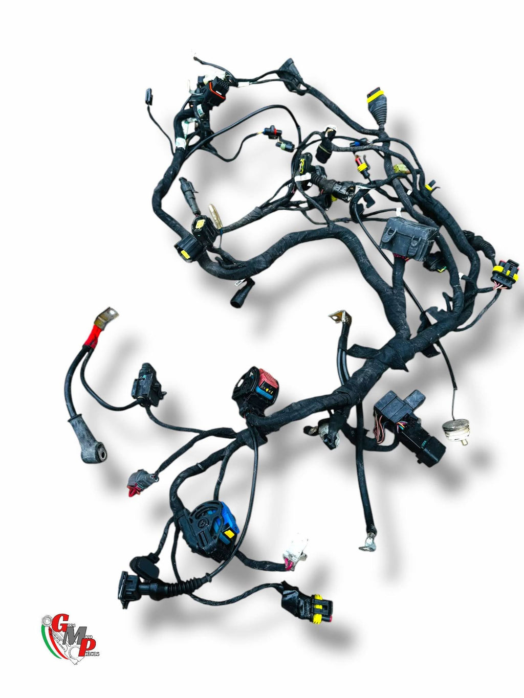Electrical Harness - Ducati
