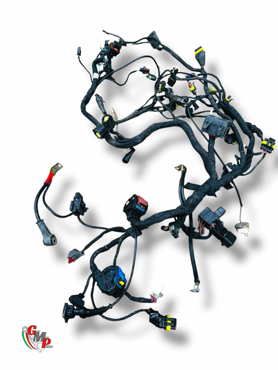 Electrical Harness - Ducati