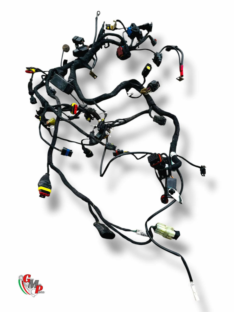 Electrical Harness - Ducati