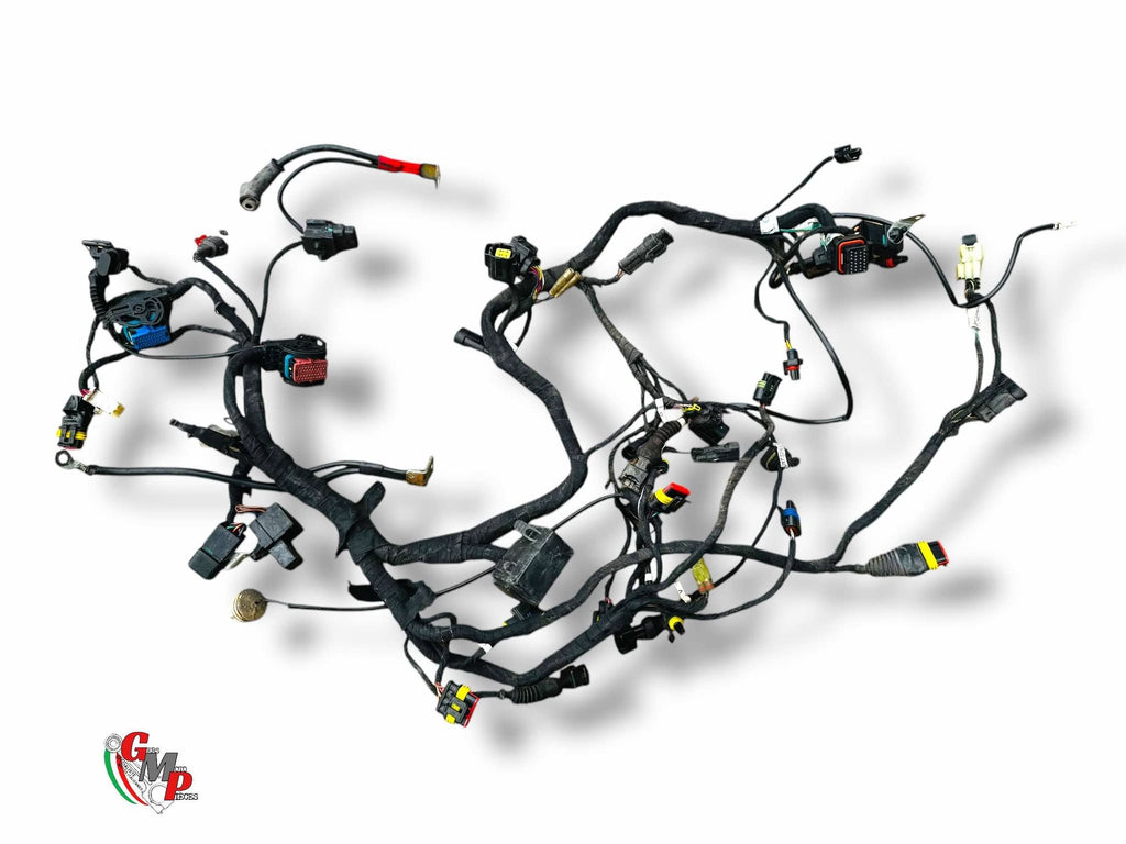 Electrical Harness - Ducati