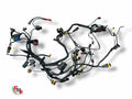 Electrical Harness - Ducati