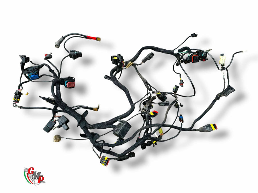 Electrical Harness - Ducati