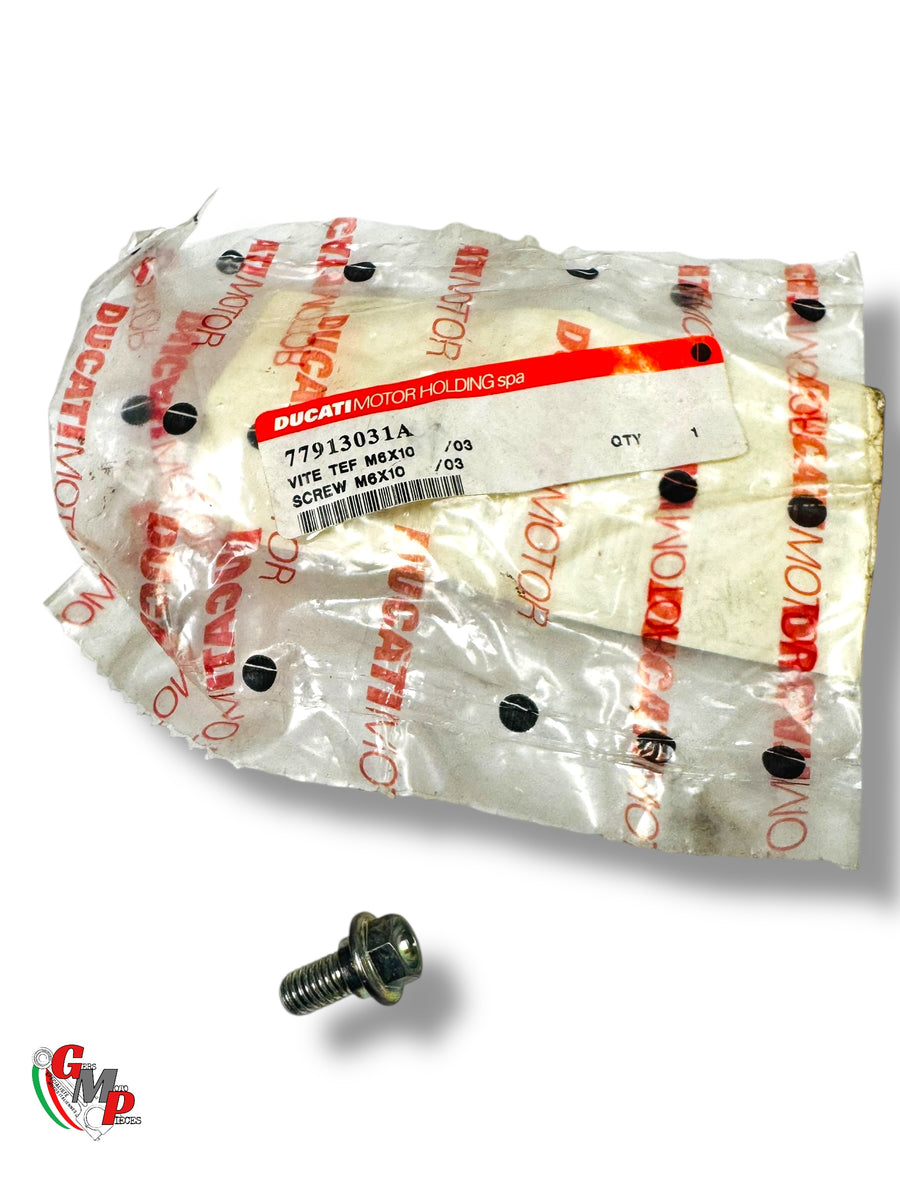Chain Slider and Protector NEW - Ducati