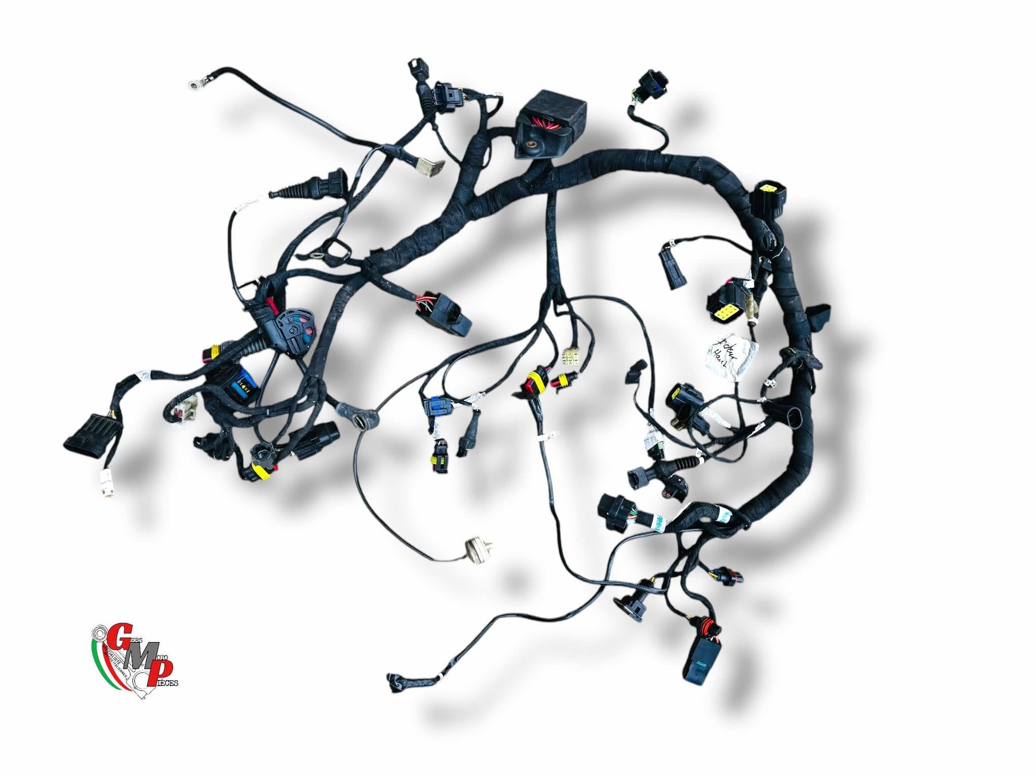 Electrical Harness - Ducati