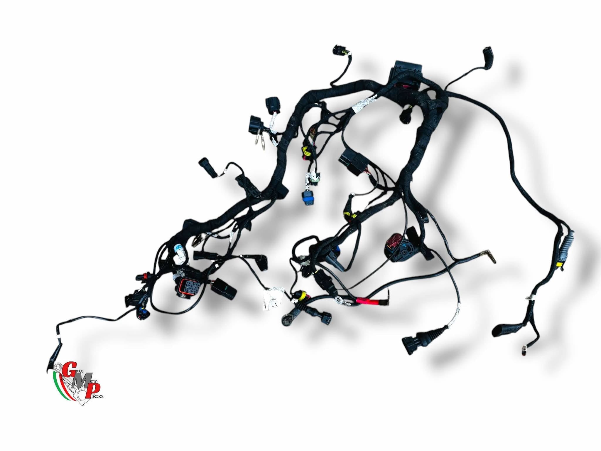 Electrical Harness - Ducati