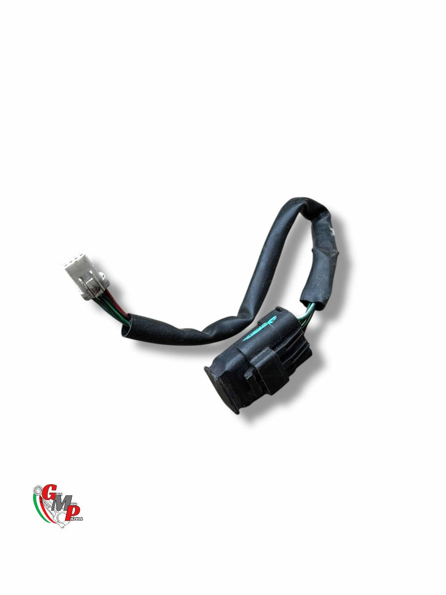 Rear Wiring Harness - Ducati