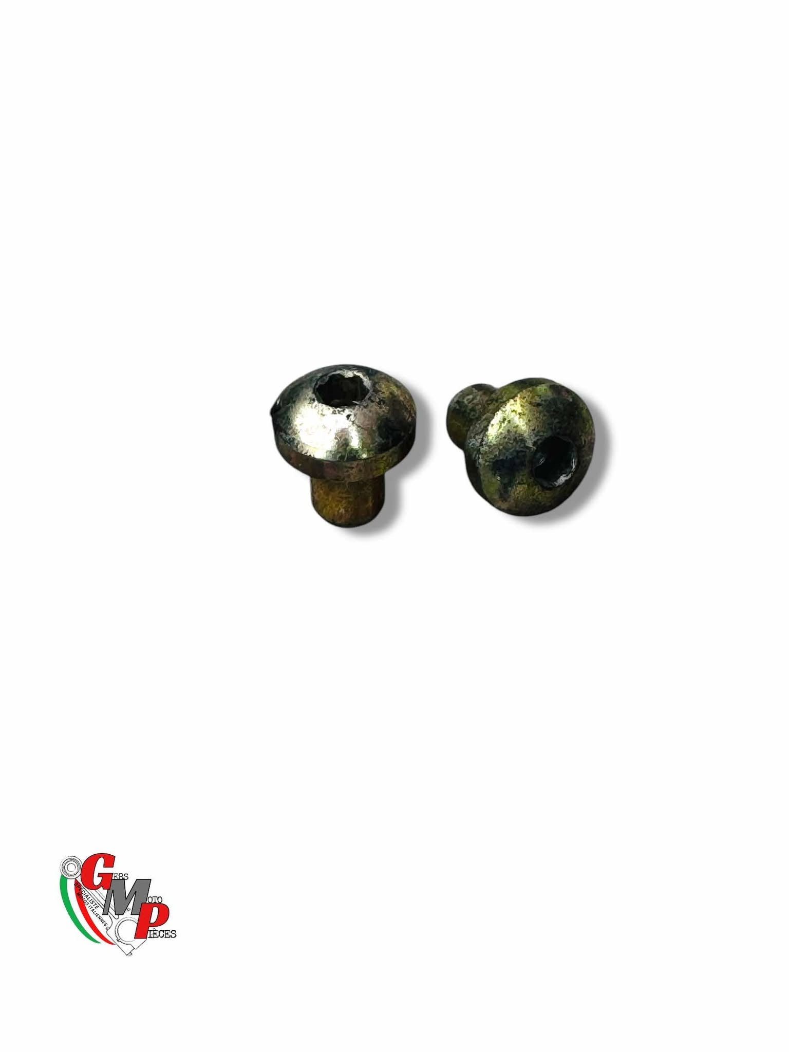 Speedometer Support Screw - Ducati