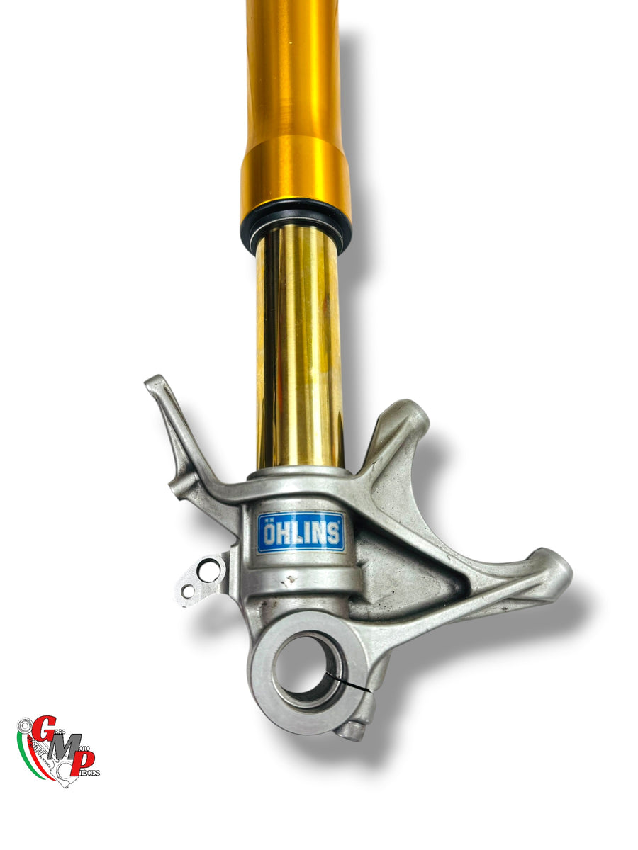 Left Fork Assembly öhlins - Ducati