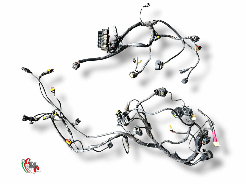 Complete Front Rear Wiring Harness - Ducati