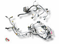 Complete Front Rear Wiring Harness - Ducati