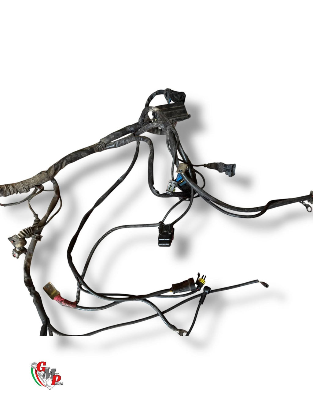 Main Wiring Harness - Ducati
