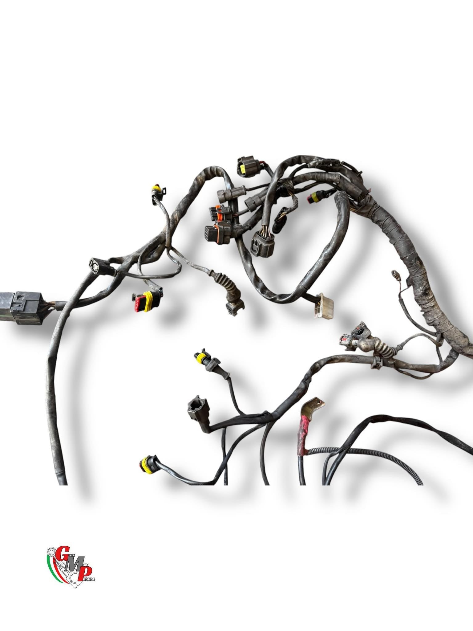 Main Wiring Harness - Ducati