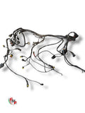 Main Wiring Harness - Ducati