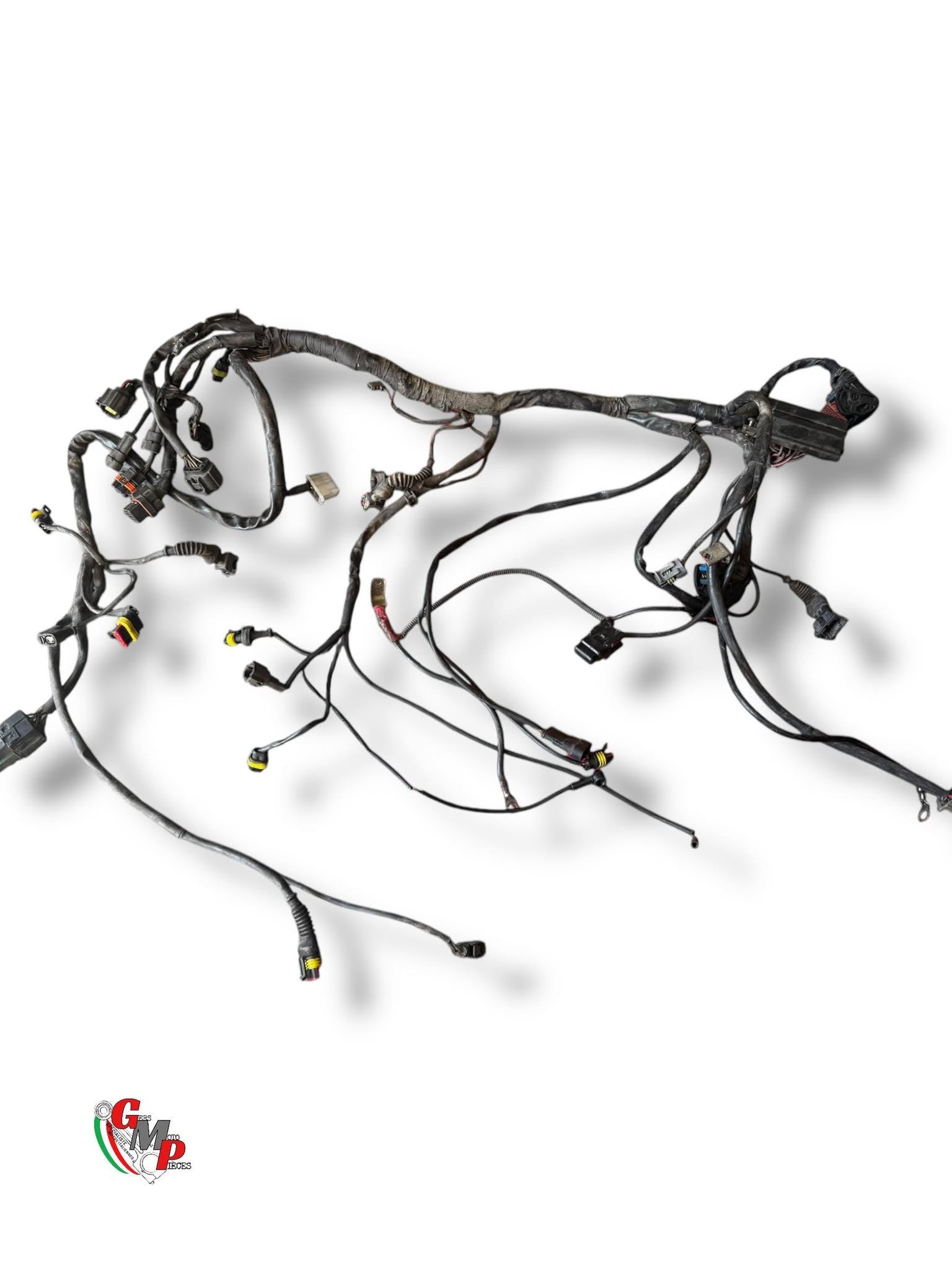 Main Wiring Harness - Ducati