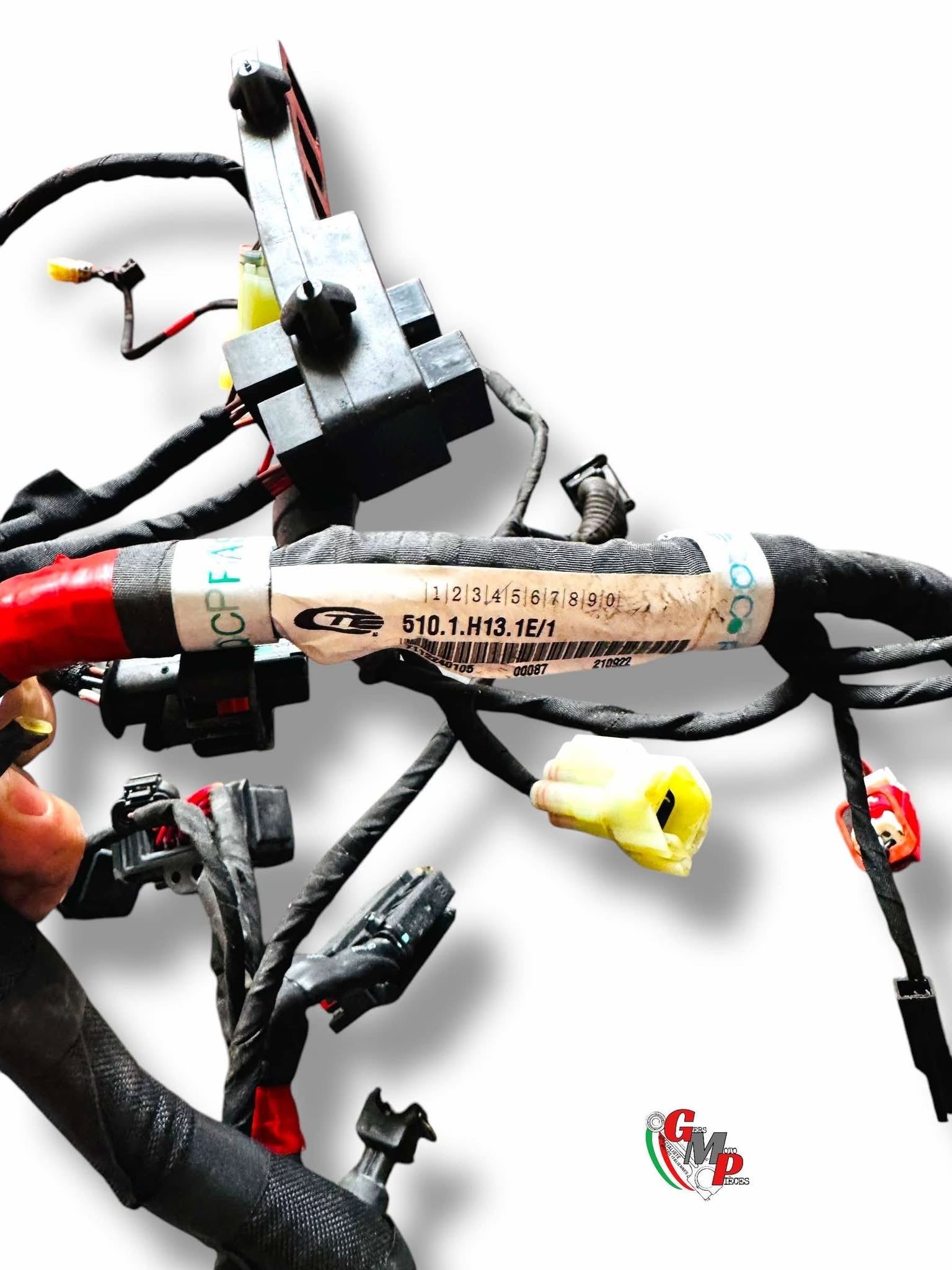 Main Wiring Harness - Ducati