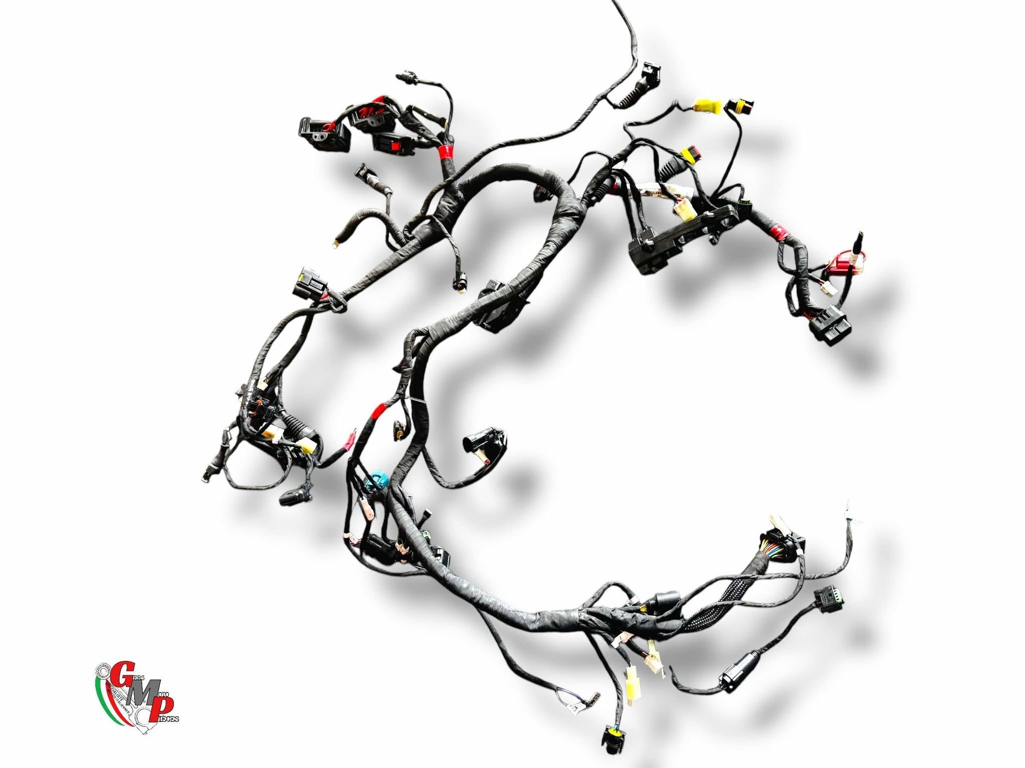 Main Wiring Harness - Ducati