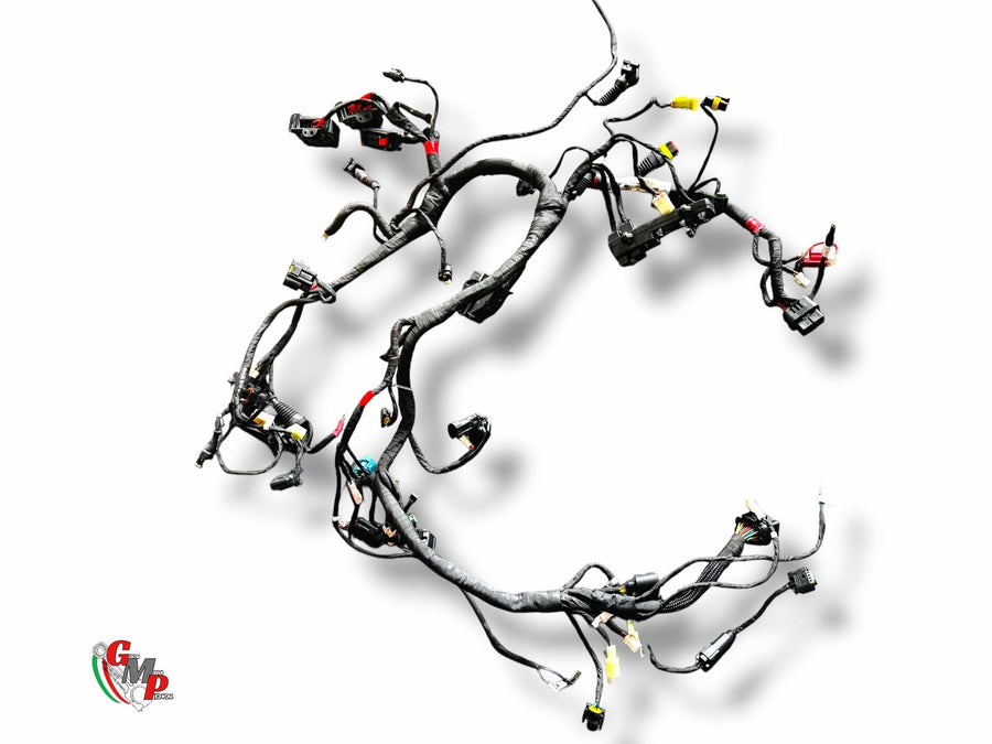 Main Wiring Harness - Ducati