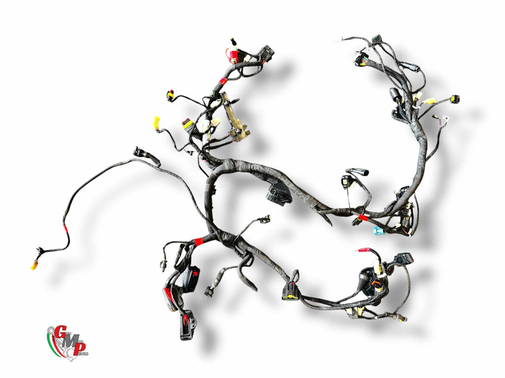 Main Wiring Harness - Ducati