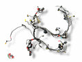 Main Wiring Harness - Ducati