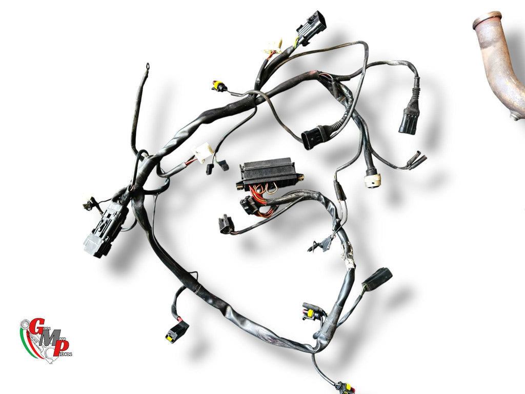Electrical harness - Ducati