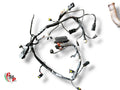 Electrical harness - Ducati