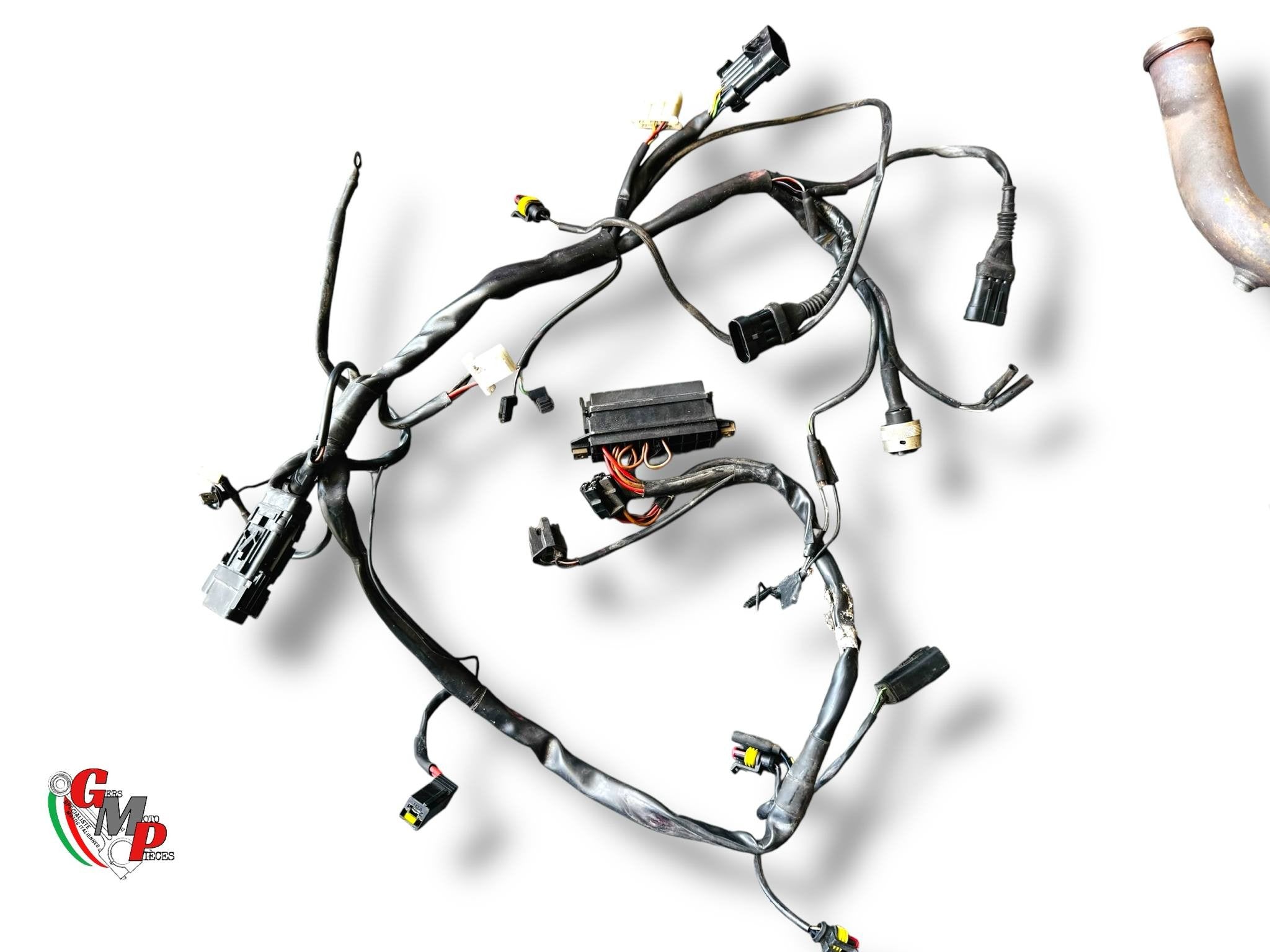 Electrical harness - Ducati